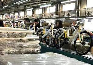 共享单车炎夏遭遇产业寒潮 生产第一镇商铺过半陷倒闭潮 孵化基地逐步退出舞台